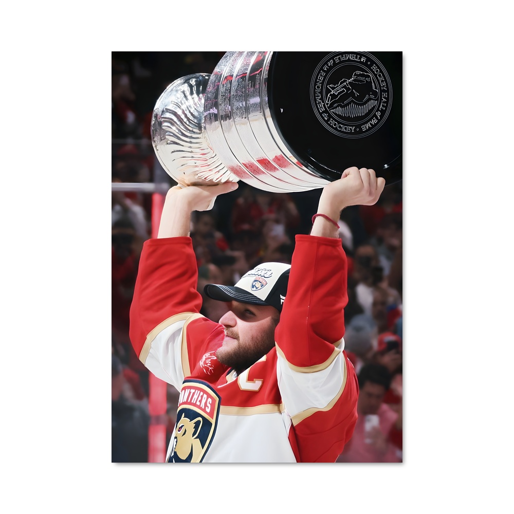 Poster Aleksander barkov
